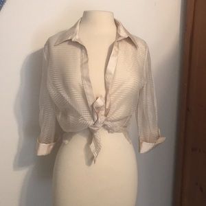 Vintage Sheer Blouse